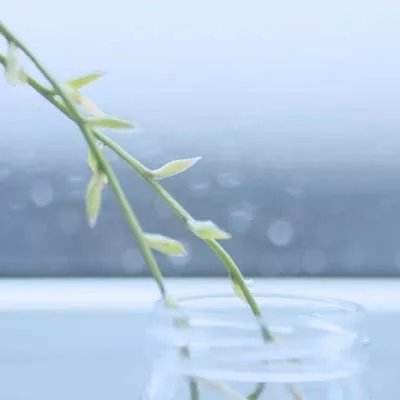 37神之继承者mu手游下载